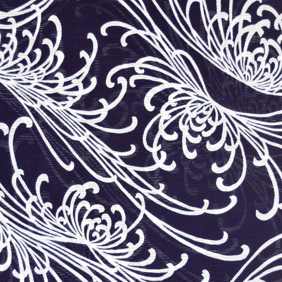 竺仙の反物（乱菊柄？） 浴衣 白 藍染 綿コーマ 竺仙：白地綿絽ゆかた 乱菊 – 創作着物と帯の専門店 Marutoya
