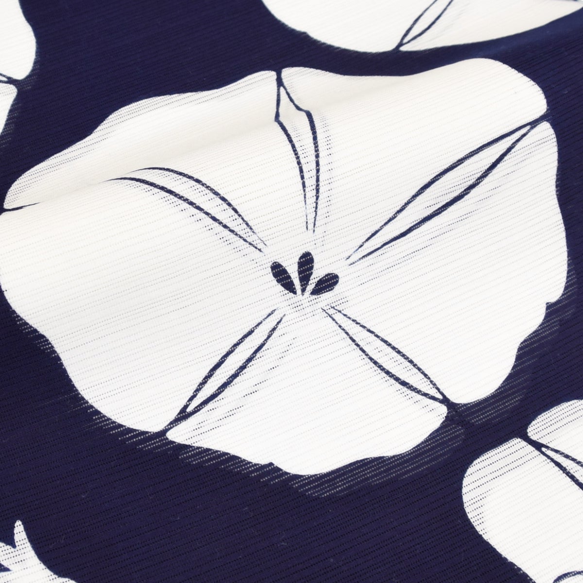 浴衣 竺仙 綿絽 地染 大朝顔 2025年新作 | おべべほほほ